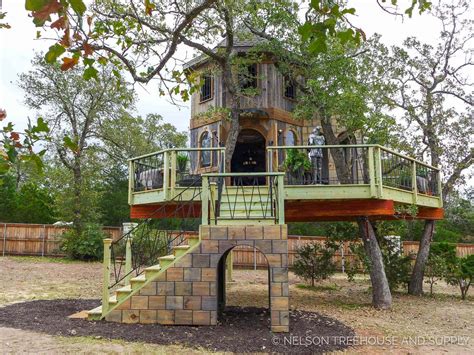 The Turtle Master's Treehouse: A Hidden Gem of Magic and Adventure